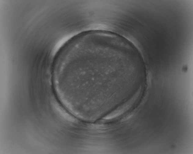 X0000110711120200907022016