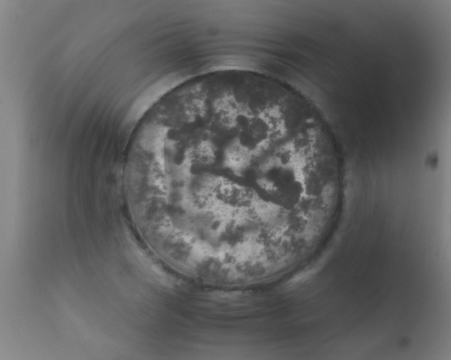 X0000110711121200907022016