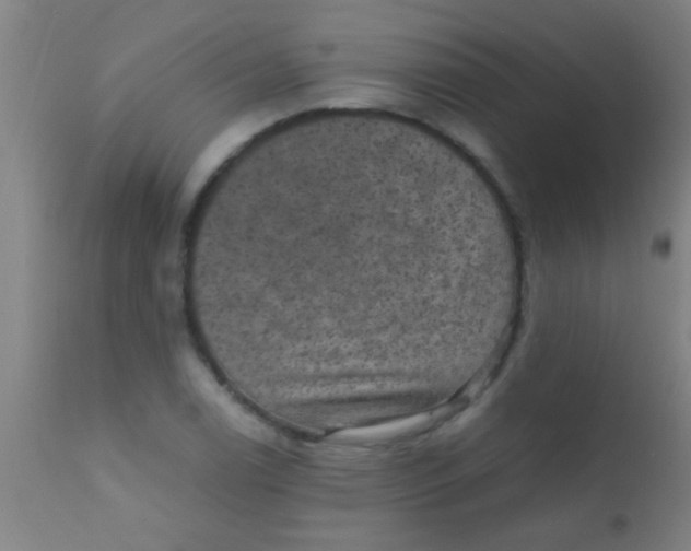 X0000110711122200907022016