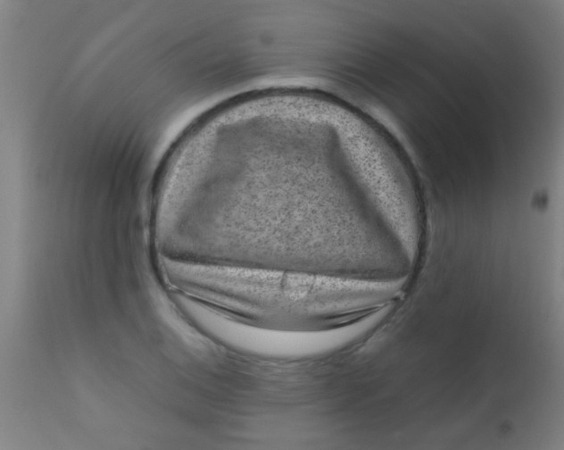 X0000110711124200907022016