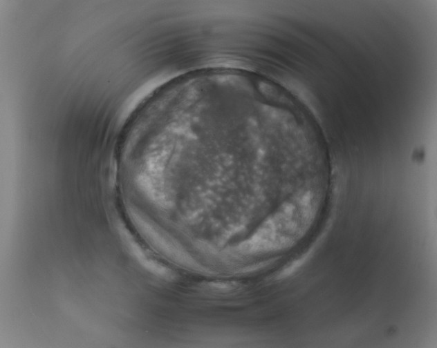 X0000110711125200907022016