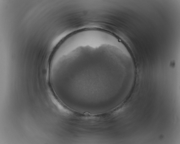 X0000110711127200907022016