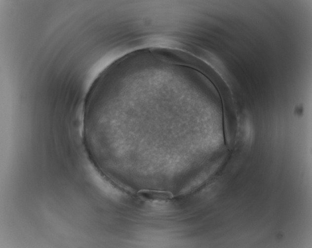 X0000110711128200907022016