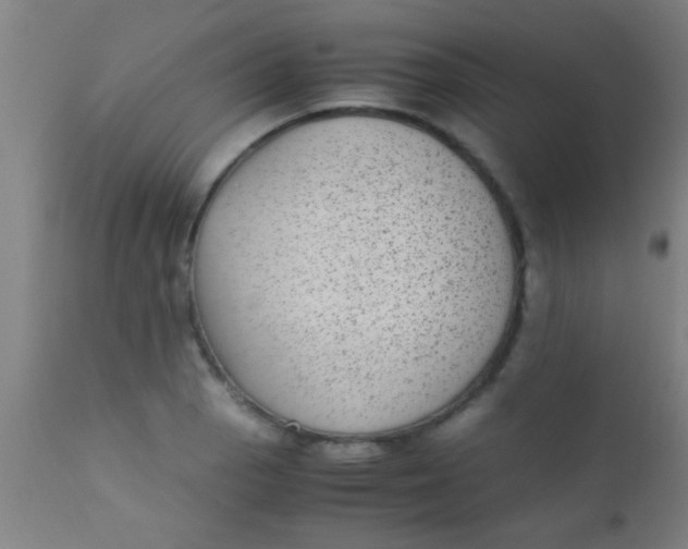 X0000110711129200907022016