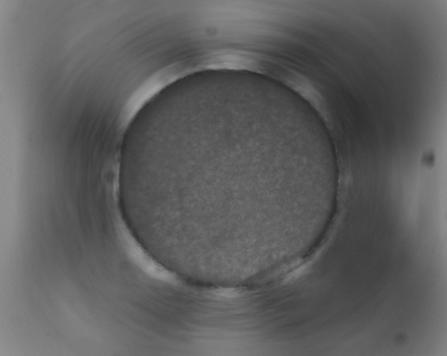 X0000110711130200907022016