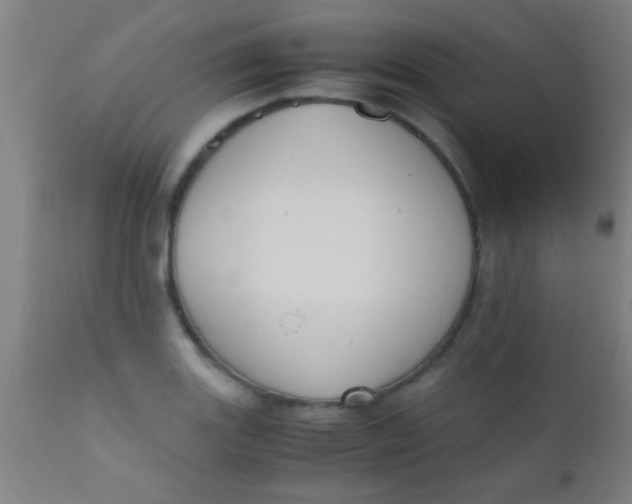 X0000110711131200907022016
