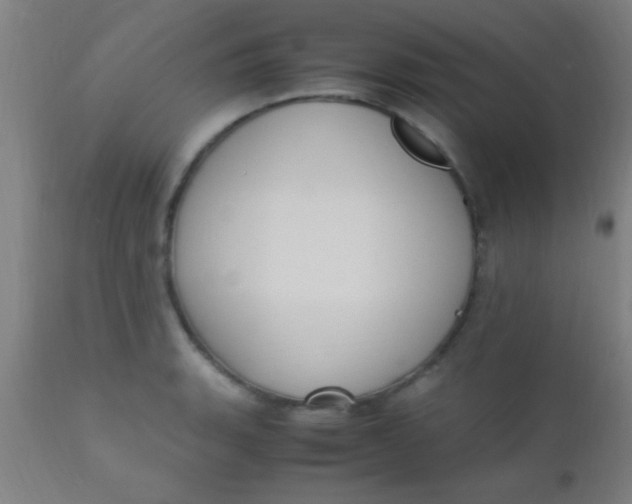 X0000110711135200907022016