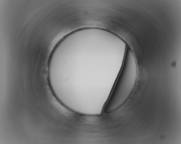 X0000110711136200907022016