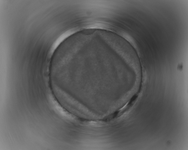 X0000110711138200907022016