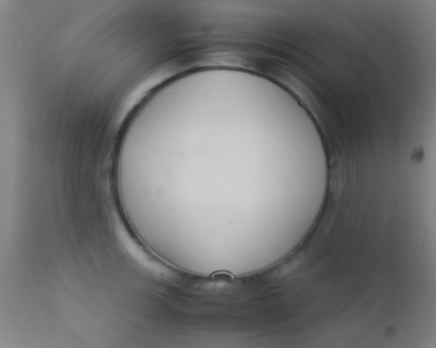 X0000110711139200907022016