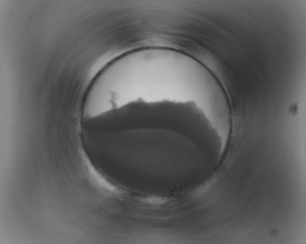 X0000110711141200907022016