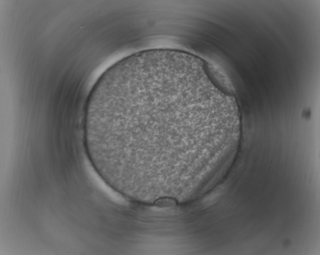 X0000110711142200907022016
