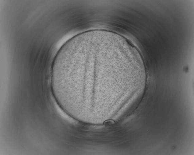X0000110711143200907022016