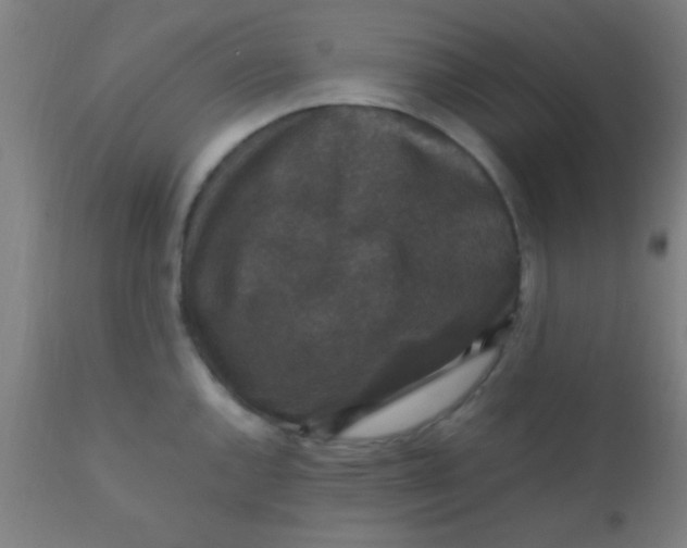 X0000110711144200907022016