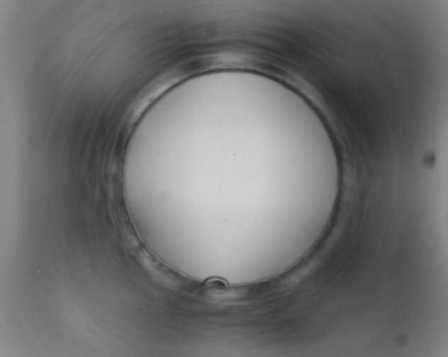 X0000110711145200907022016