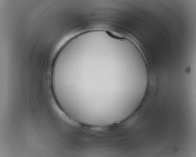 X0000110711147200907022016