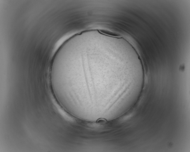 X0000110711149200907022016
