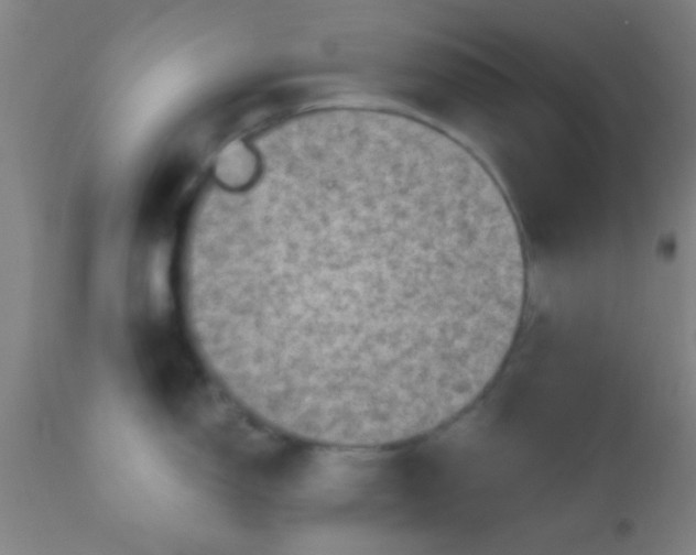 X0000110711150200907022016