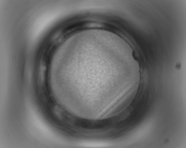 X0000110711151200907022016