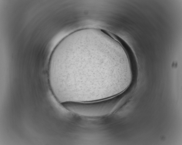 X0000110711152200907022016