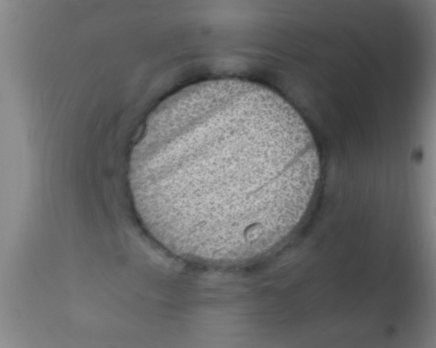 X0000110711153200907022015