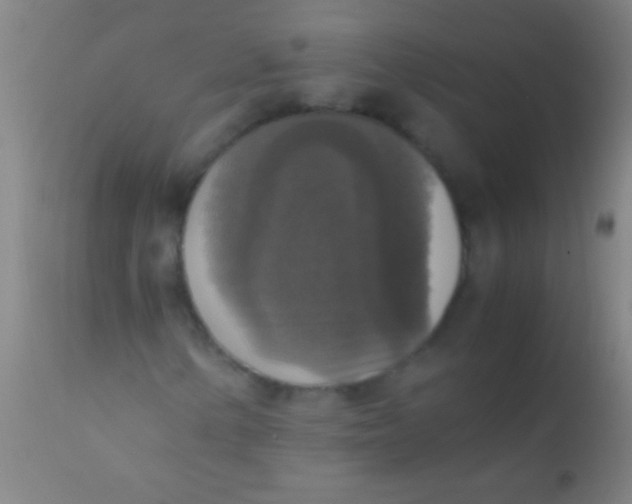 X0000110711154200907022015