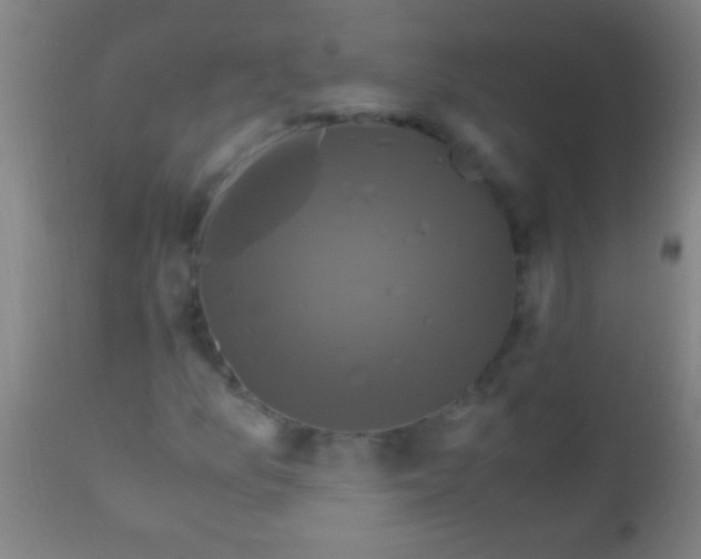 X0000110711157200907022015