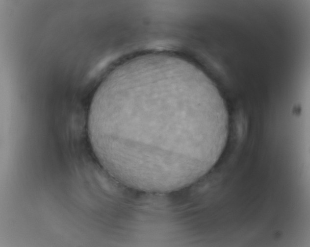 X0000110711158200907022015