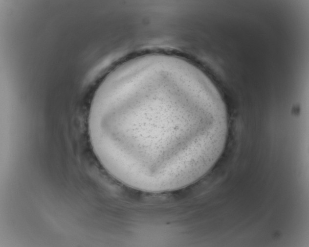 X0000110711159200907022015