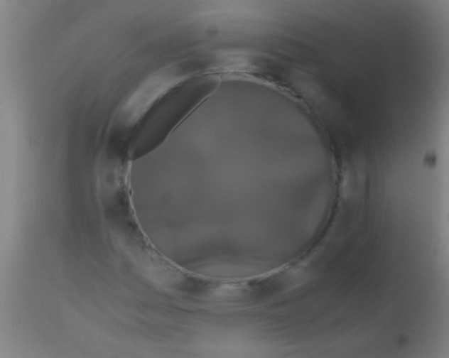 X0000110711161200907022015