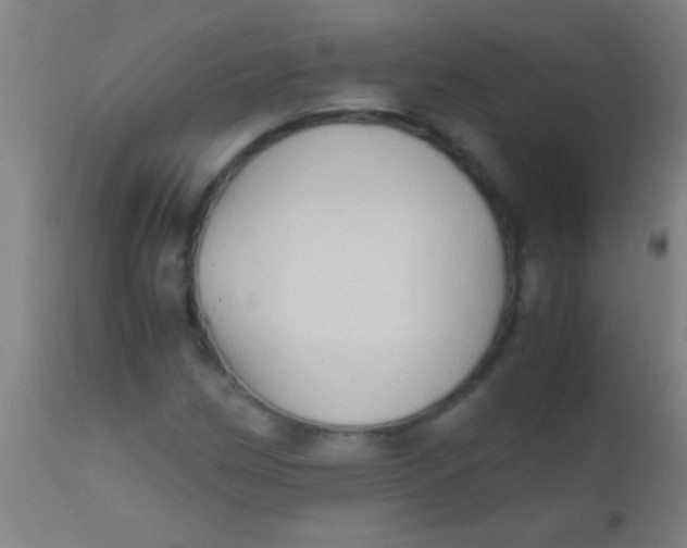 X0000110711162200907022015