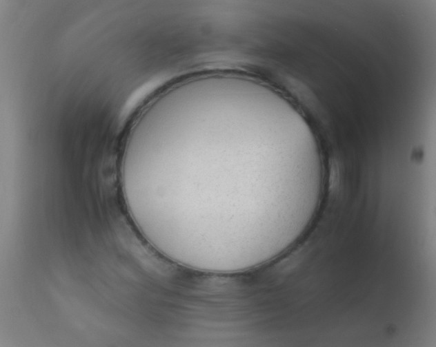 X0000110711164200907022015