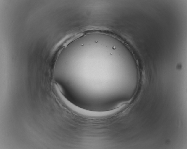 X0000110711165200907022015
