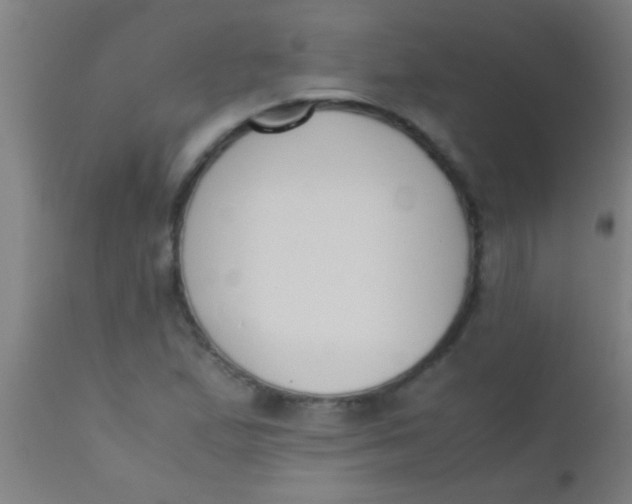 X0000110711167200907022015