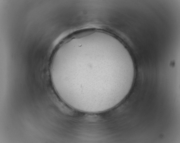 X0000110711168200907022015