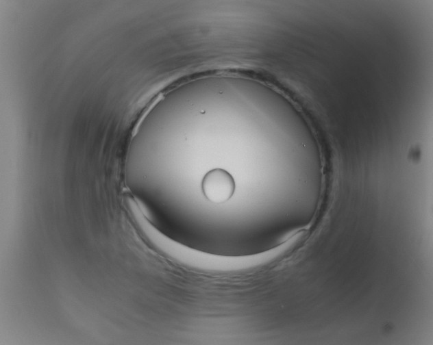 X0000110711169200907022015