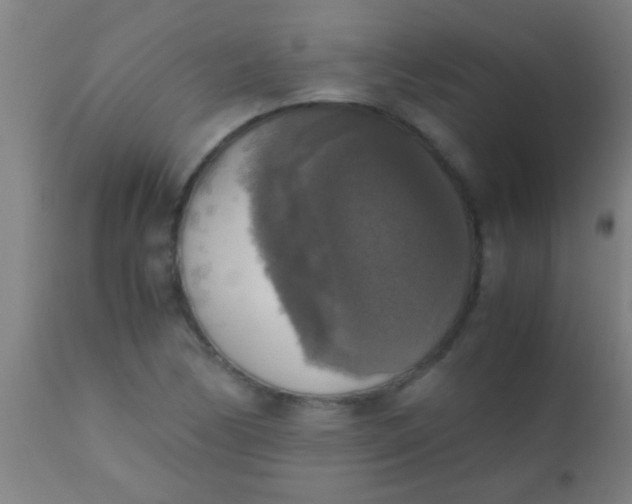 X0000110711170200907022015