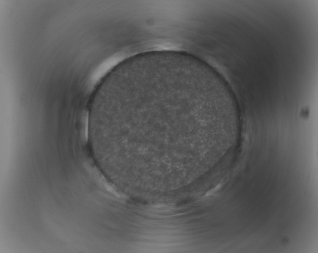 X0000110711171200907022015
