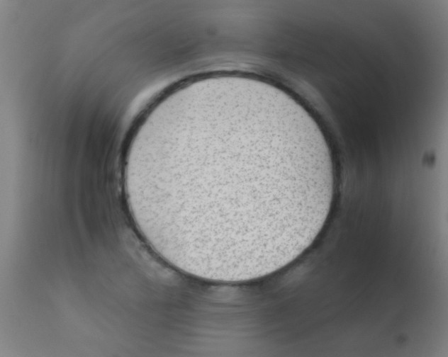 X0000110711172200907022015