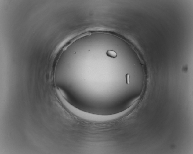 X0000110711173200907022015