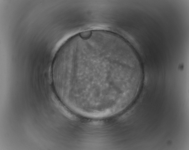 X0000110711174200907022015