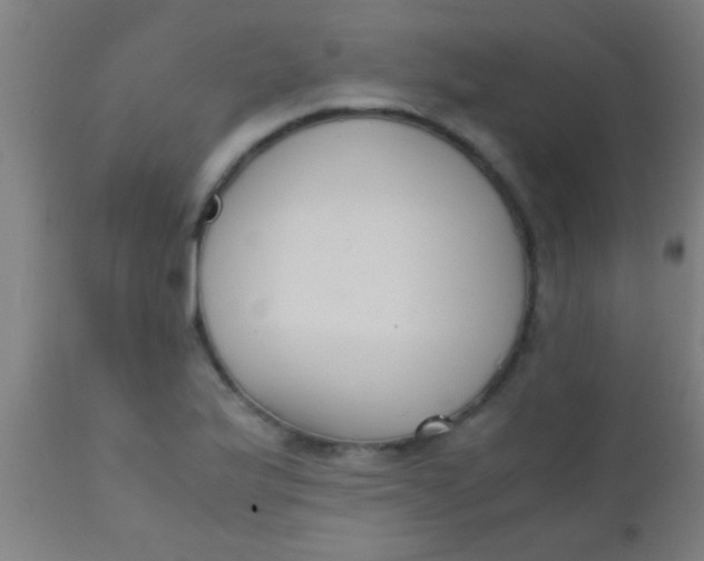 X0000110711175200907022015
