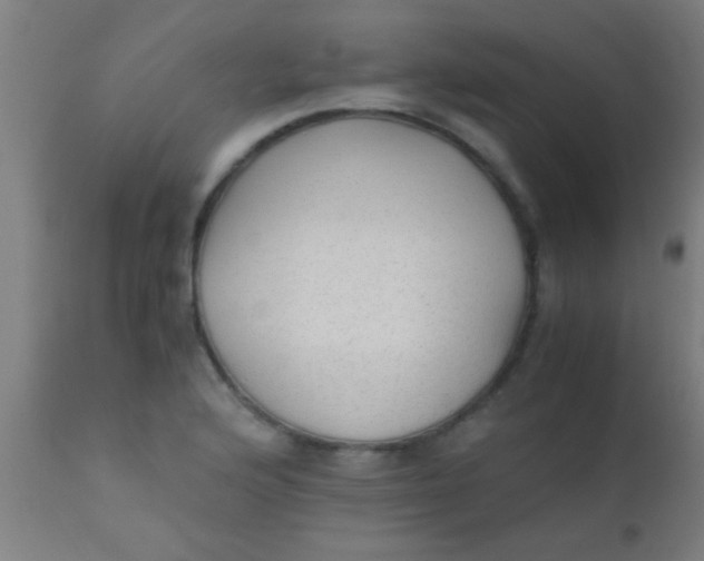X0000110711176200907022015