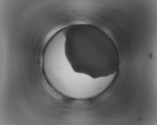 X0000110711179200907022015