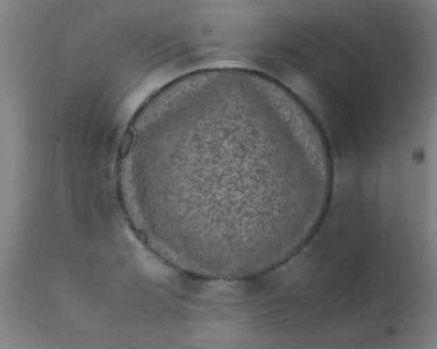 X0000110711181200907022015