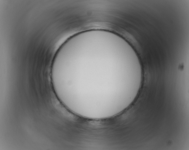 X0000110711182200907022015
