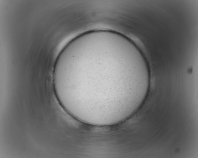 X0000110711183200907022015