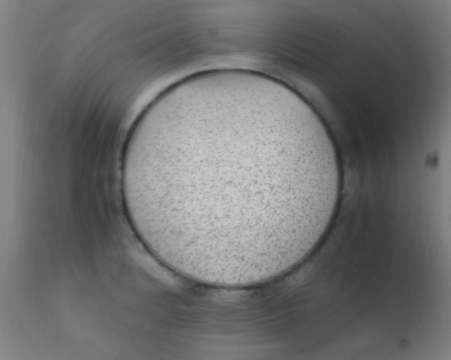 X0000110711184200907022015