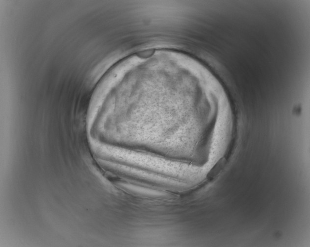 X0000110711185200907022015