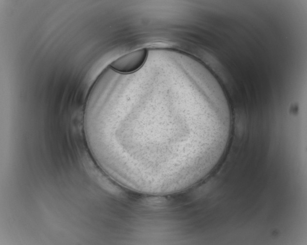 X0000110711186200907022015